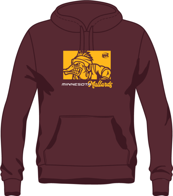 Color Block Hoodie