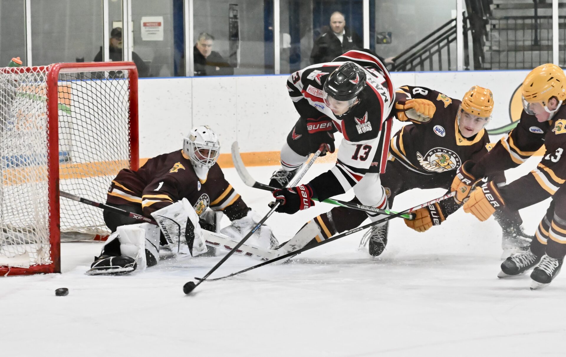 MN Mallards