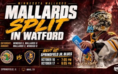 Mallards Split Watford City Series, Turn Focus to Road Weekend in Springfield